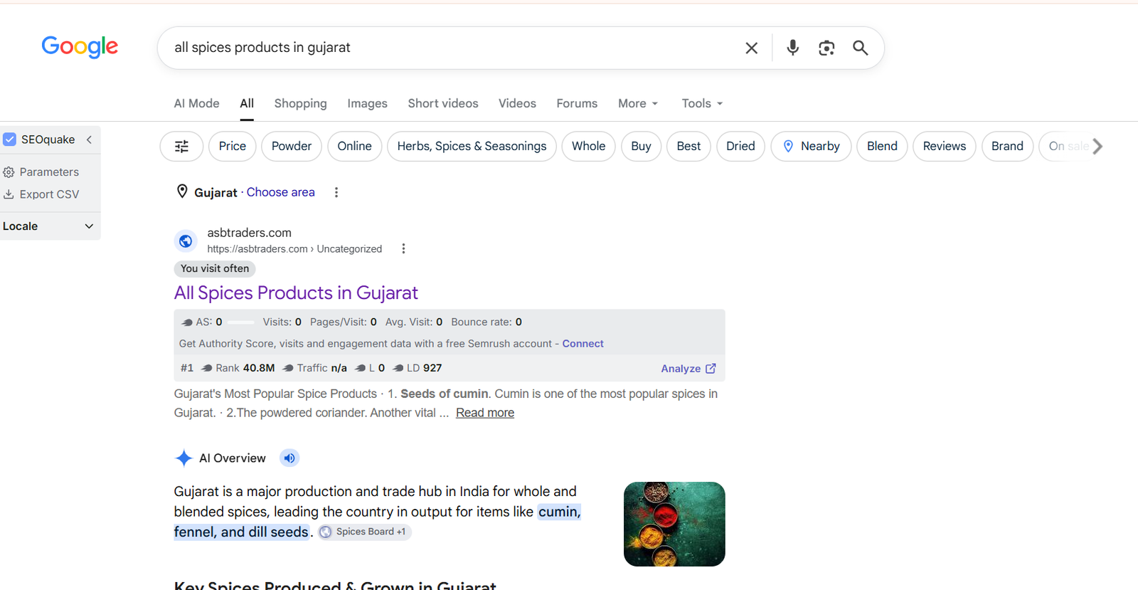 SEO report screenshot 1